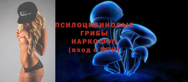 apvp Михайловск