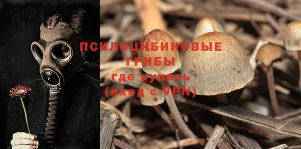 apvp Михайловск