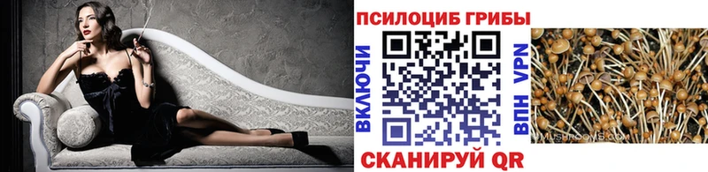купить наркотики цена  Южно-Сухокумск  Галлюциногенные грибы мухоморы 