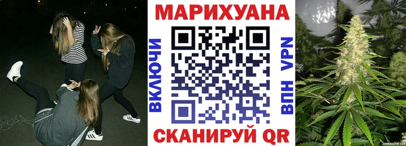 Шишки марихуана марихуана  Южно-Сухокумск 